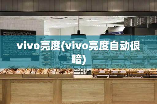 vivo亮度(vivo亮度自动很暗)