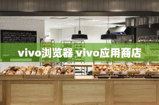 vivo浏览器 vivo应用商店
