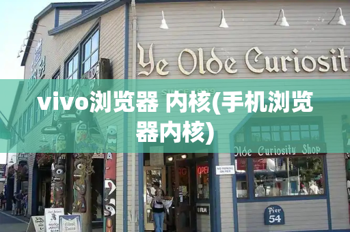 vivo浏览器 内核(手机浏览器内核)