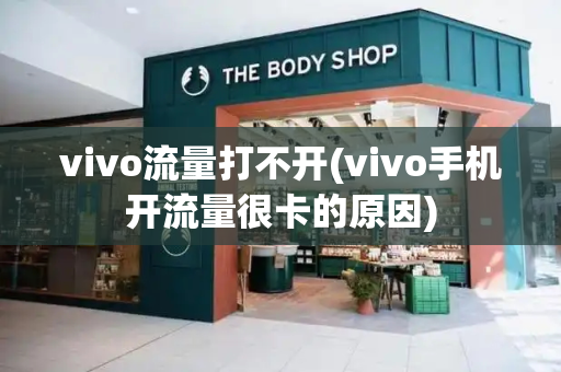 vivo流量打不开(vivo手机开流量很卡的原因)-第1张图片-星选测评