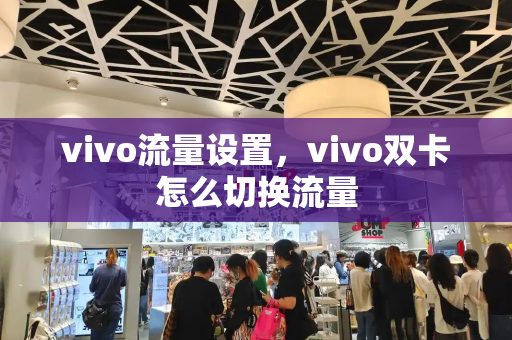 vivo流量设置，vivo双卡怎么切换流量