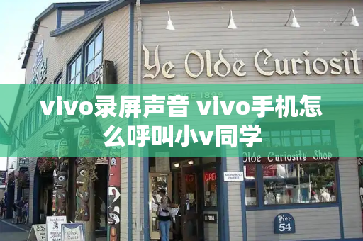 vivo录屏声音 vivo手机怎么呼叫小v同学