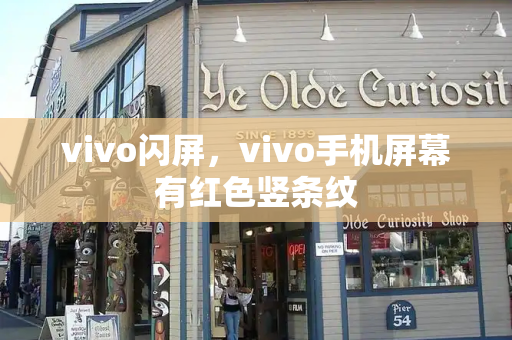 vivo闪屏，vivo手机屏幕有红色竖条纹-第1张图片-星选测评