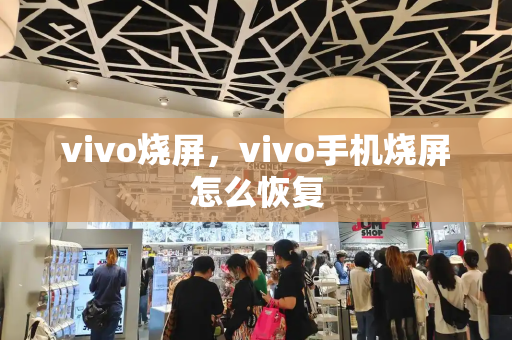 vivo烧屏，vivo手机烧屏怎么恢复-第1张图片-星选测评