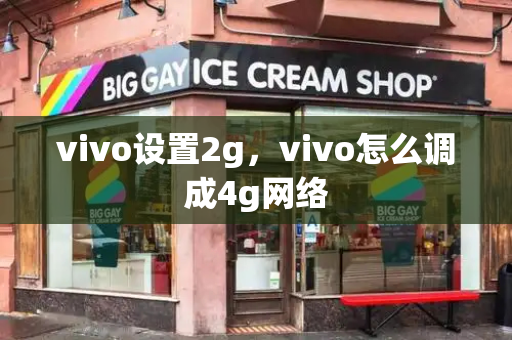 vivo设置2g，vivo怎么调成4g网络-第1张图片-星选测评