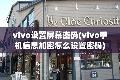 vivo设置屏幕密码(vivo手机信息加密怎么设置密码)-第1张图片-星选测评