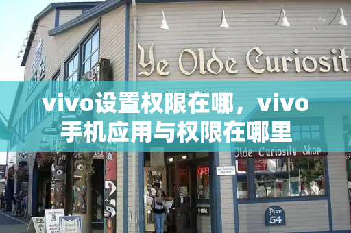 vivo设置权限在哪，vivo手机应用与权限在哪里