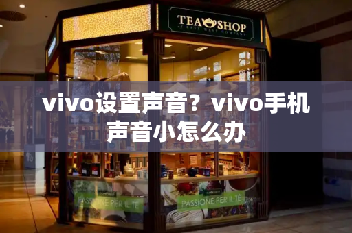 vivo设置声音？vivo手机声音小怎么办
