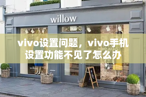 vivo设置问题，vivo手机设置功能不见了怎么办