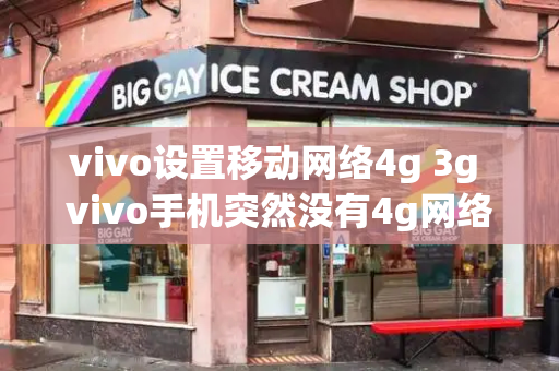 vivo设置移动网络4g 3g vivo手机突然没有4g网络-第1张图片-星选测评