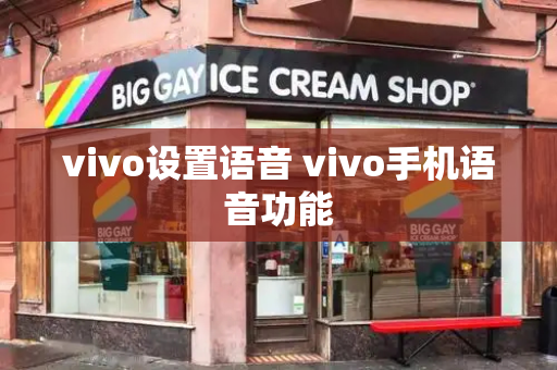 vivo设置语音 vivo手机语音功能-第1张图片-星选测评