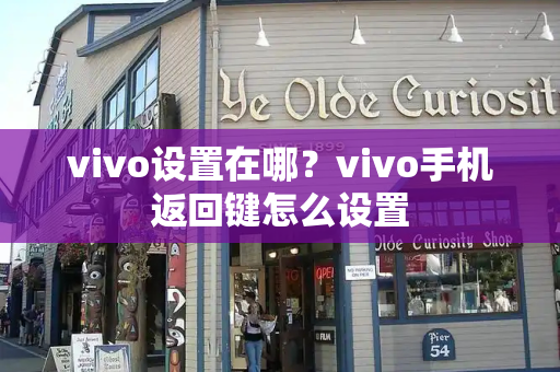 vivo设置在哪？vivo手机返回键怎么设置