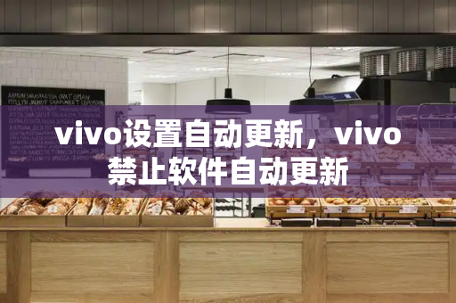 vivo设置自动更新，vivo禁止软件自动更新