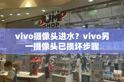 vivo摄像头进水？vivo另一摄像头已损坏步骤
