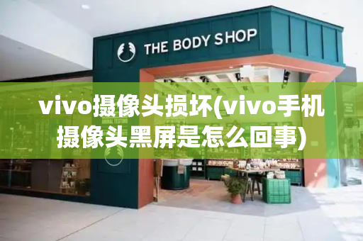 vivo摄像头损坏(vivo手机摄像头黑屏是怎么回事)-第1张图片-星选测评