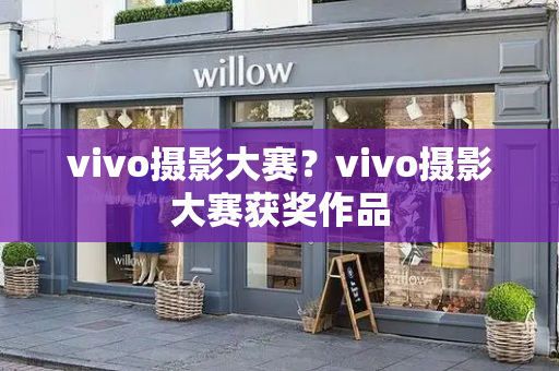 vivo摄影大赛？vivo摄影大赛获奖作品-第1张图片-星选测评