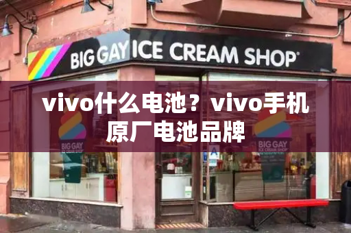 vivo什么电池？vivo手机原厂电池品牌