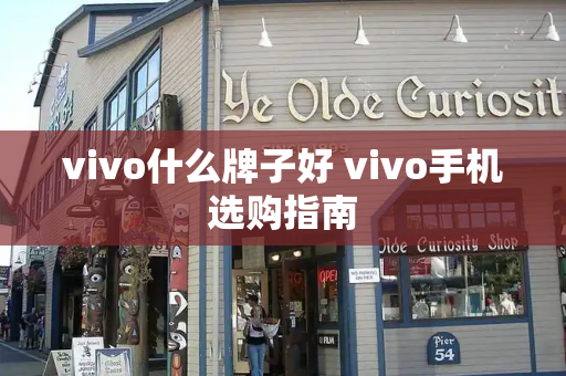 vivo什么牌子好 vivo手机选购指南