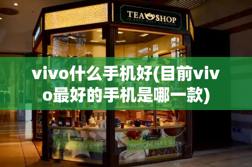 vivo什么手机好(目前vivo最好的手机是哪一款)-第1张图片-星选测评