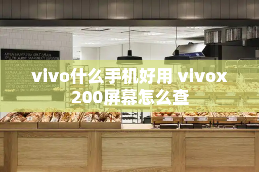 vivo什么手机好用 vivox200屏幕怎么查