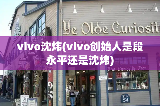 vivo沈炜(vivo创始人是段永平还是沈炜)-第1张图片-星选测评