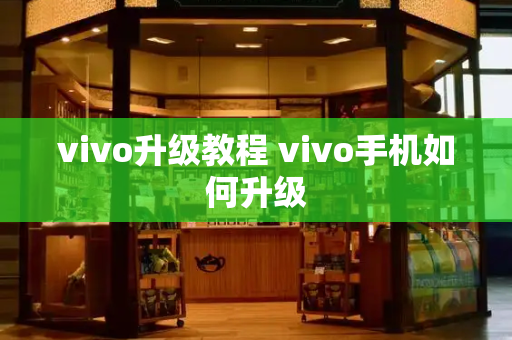 vivo升级教程 vivo手机如何升级