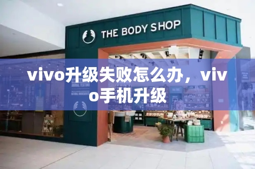 vivo升级失败怎么办，vivo手机升级