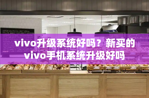 vivo升级系统好吗？新买的vivo手机系统升级好吗