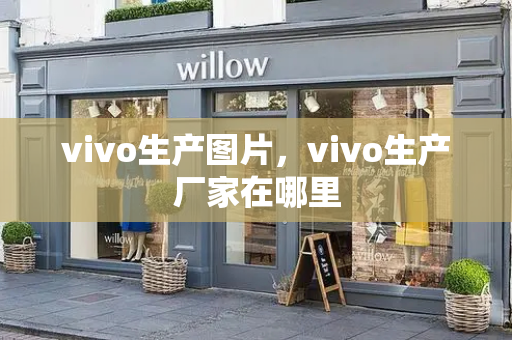 vivo生产图片，vivo生产厂家在哪里