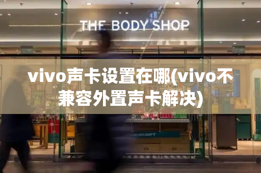 vivo声卡设置在哪(vivo不兼容外置声卡解决)-第1张图片-星选测评