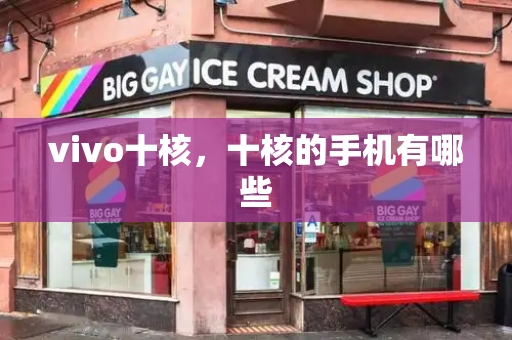 vivo十核，十核的手机有哪些