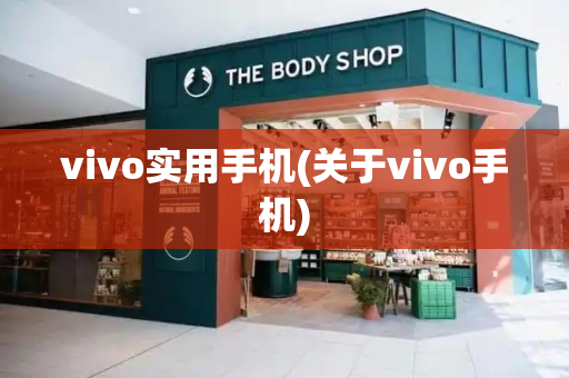 vivo实用手机(关于vivo手机)-第1张图片-星选测评