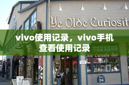 vivo使用记录，vivo手机查看使用记录