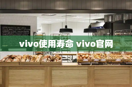 vivo使用寿命 vivo官网