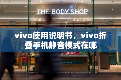 vivo使用说明书，vivo折叠手机静音模式在哪