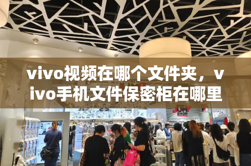 vivo视频在哪个文件夹，vivo手机文件保密柜在哪里