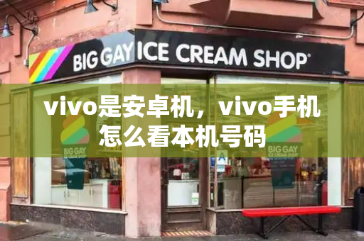 vivo是安卓机，vivo手机怎么看本机号码