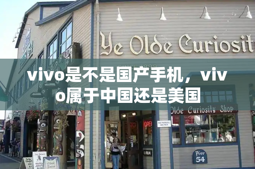 vivo是不是国产手机，vivo属于中国还是美国