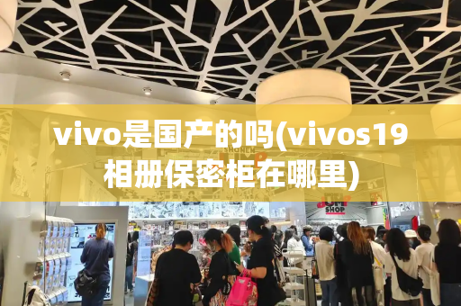vivo是国产的吗(vivos19相册保密柜在哪里)