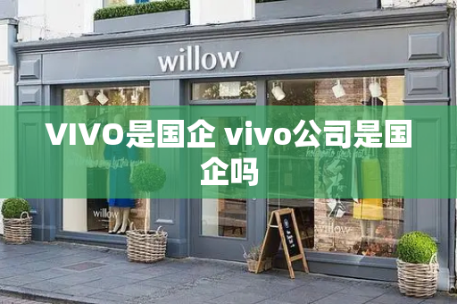 VIVO是国企 vivo公司是国企吗-第1张图片-星选测评