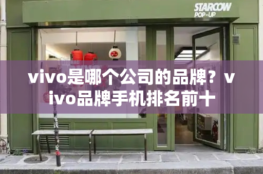 vivo是哪个公司的品牌？vivo品牌手机排名前十-第1张图片-星选测评