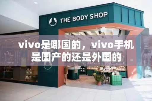 vivo是哪国的，vivo手机是国产的还是外国的