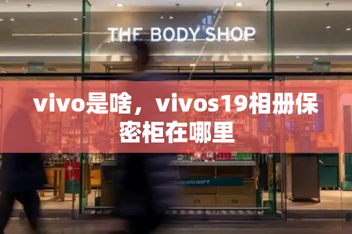vivo是啥，vivos19相册保密柜在哪里
