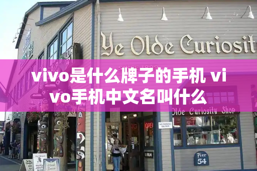 vivo是什么牌子的手机 vivo手机中文名叫什么-第1张图片-星选测评