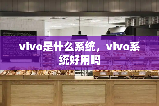 vivo是什么系统，vivo系统好用吗-第1张图片-星选测评