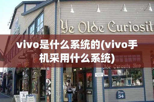 vivo是什么系统的(vivo手机采用什么系统)-第1张图片-星选测评