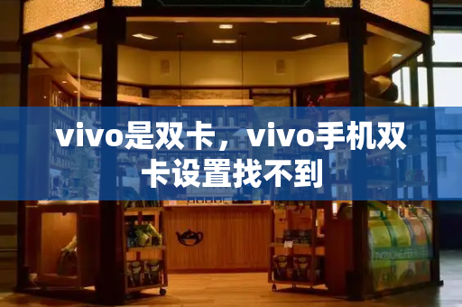 vivo是双卡，vivo手机双卡设置找不到-第1张图片-星选测评