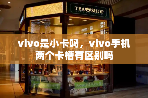 vivo是小卡吗，vivo手机两个卡槽有区别吗-第1张图片-星选测评