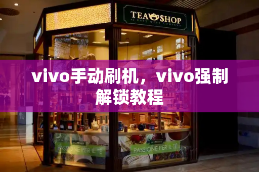 vivo手动刷机，vivo强制解锁教程