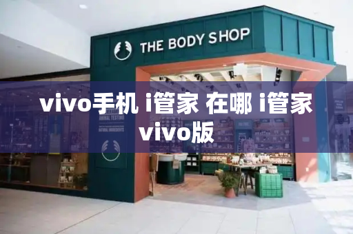 vivo手机 i管家 在哪 i管家vivo版-第1张图片-星选测评